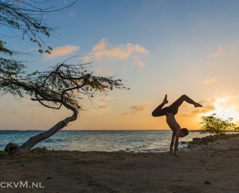 Aruba 2016